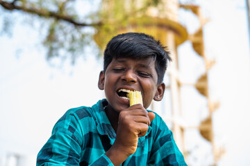 Village teenger kid eating sugarcane at farmland - concept of childhood lifestyles, healthcare and...