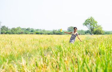 Naklejka na ściany i meble Dancing young village girl kid by holding indian flag at pady agriculture field - concept of freedom, republic or independence celebration and rural India.