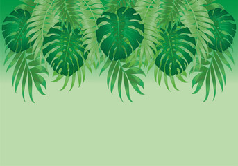 Tropical Floral Print with Exotic Green Jungle Leaves on green Background. Rainforest Plants Wallpaper Template, Nature Textile Ornament, Philodendron Monstera Flowers Vector Illustration