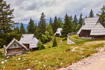Fototapeta na wymiar Slowenien, Velika Planina, Hirtensiedlung.