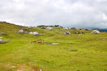 Fototapeta na wymiar Slowenien, Velika Planina, Hirtensiedlung.