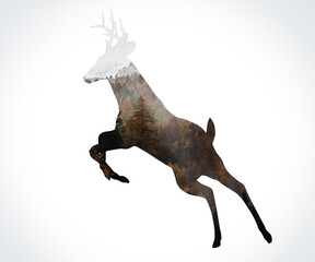 Buck Illustration. Figure Simple Background. Photo Backdrop.