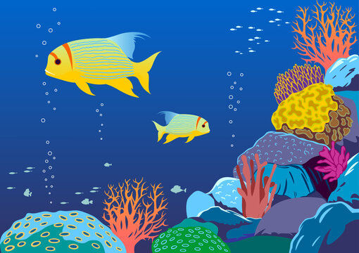 Detailed vector illustration of an underwater coral reef with fishes, algae and colorful corals in the background. Handmade poster template.