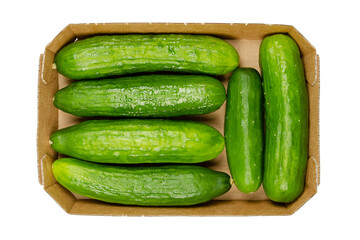 Fresh snack cucumbers, in a cardboard tray. Small, young and whole cucumber fruits, crunchy and...