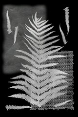 Botanical composition with abstract elements. Prints of fern leaf, scans of paper and burlap are used.