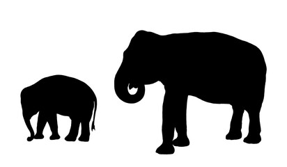 Indian elephant with baby isolated black white illustration. Picture with the asian elephant family.	