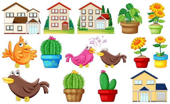 Different house designs and cute birds