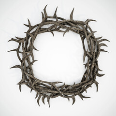 Crown of thorns isolated on white background. 3D illustration