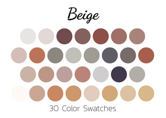 Collection Color palette, swatch color palette, Flat vector illustration