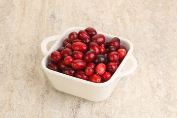 Ripe sweet tasty cranberry in the bowl