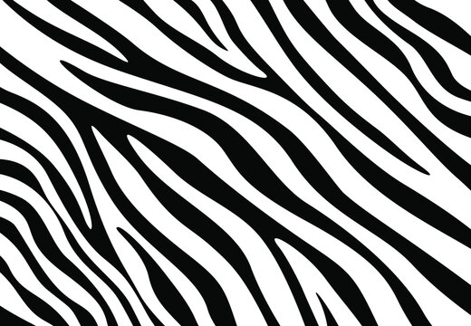 Zebra fur pattern background