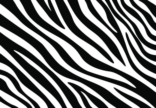 Zebra fur pattern background