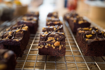 Fresh baked brownies on a tray