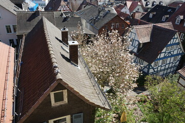 Blick vom Lutherischen Kirchhof alte Dächer und Giebel im Sonnenschein in den Gassen der Altstadt...