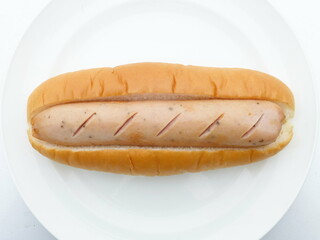 hotdog isolated on white