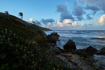 Closeup of a windy coastal landscape by the beach