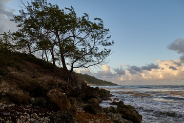 Closeup of a windy coastal landscape by the beach