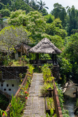 hidden house in bushes bali