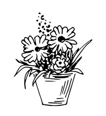 Simple hand-drawn vector drawing in black outline. Beautiful flowers in a pot, bouquet. Greenhouse, flowering plants.