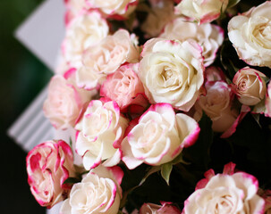 Thriving of full bloom flowerscape, floral visual of live flowers wall, beautiful roses background. Front top photo of a pink roses with selective focus in a bouquet on a soft green background 