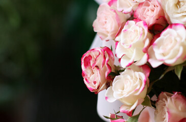 Thriving of full bloom flowerscape, floral visual of live flowers wall, beautiful roses background. Front top photo of a pink roses with selective focus in a bouquet on a soft green background 
