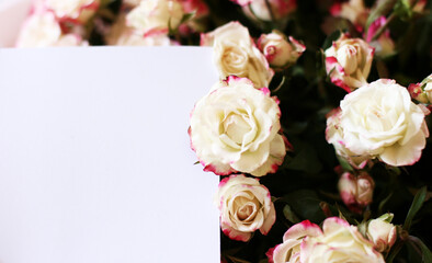 Wedding, birthday stationery mock-up scene. Blank paper greeting card, invitation. Decorative floral composition. Closeup of pink roses petals. Mock up with empty space.