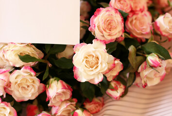 Thriving of full bloom flowerscape, floral visual of live flowers wall, beautiful roses background. Front top photo of a pink roses with selective focus in a bouquet on a soft green background 