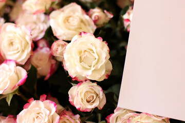 Thriving of full bloom flowerscape, floral visual of live flowers wall, beautiful roses background. Front top photo of a pink roses with selective focus in a bouquet on a soft green background 