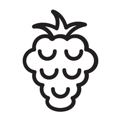 Raspberry , Fruits outline icon.