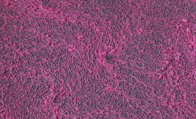 Close-up abstract image of bacteria starting to form on beet juice. Selected depth of field.