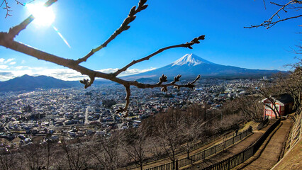 A few tree branches with flower buds on disturbing a clear, distant view on Mt Fuji in Japan on a clear, wintery day. The top parts of the volcano are covered with a layer of snow. Holly mountain