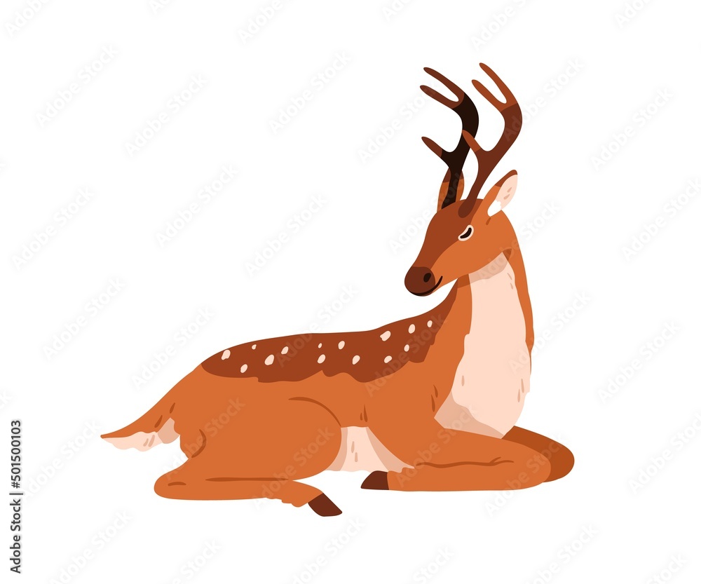 Wall mural Cute bambi deer lying. Spotted reindeer sleeping. Adorable graceful fawn animal with antlers horns resting with closed eyes. Colored flat vector illustration isolated on white background