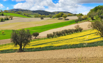 Beautiful countryside landscape, agricultural fields