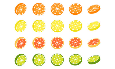 柑橘系のくだもの_断面