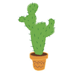 cactus isolated on white