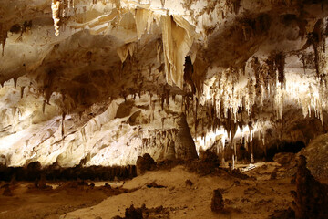 Beautiful landscape of cave icicles in the Carlsbad Caverns National Park