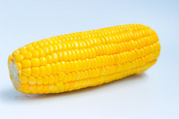 Sweet Corn or Maize (Zea mays). Isolated