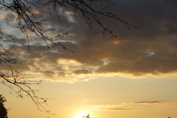 Sonnenuntergang mit Bäumen im vordergrund und ein farbenspiel der wolken