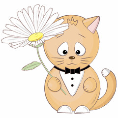 cute ginger kitten in a bow tie with a flower