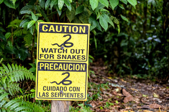 Warning yellow sign from snakes with black texts in black in English and Spanish in the woods
