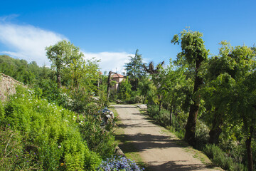 Dirt road surrounded by vegetation and old church in the background. Copy space. Selective focus.
