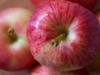 Ripe gala apples, a close-up shot. Apples whose peel is covered with pink stripes.