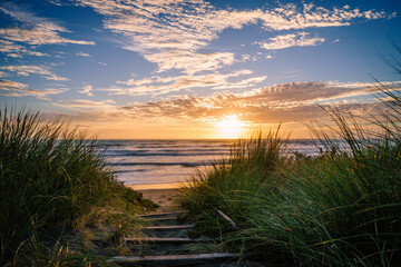 Path framed by overgrown grass, leading to a beach in Christchurch, New Zealand, beautiful sunset - obrazy, fototapety, plakaty