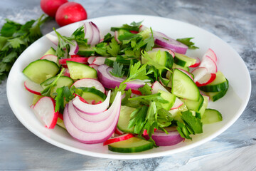 fresh vegetable salad with radish and red onion, close-up