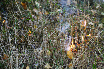 Fire in the grass. - 501518353