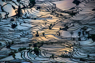 Beautiful aerial view of Yuanyang rice terraces in the daylight