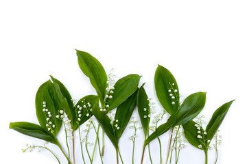 White flowers Lily of the valley ( Convallaria majalis, May bells, may lily ) with green leaves on a white background with space for text. Top view, flat lay