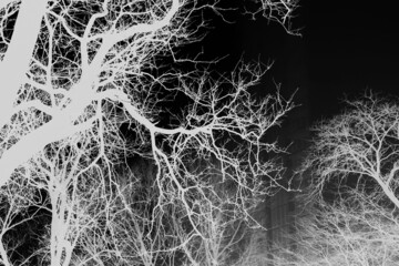 abstract black and white background