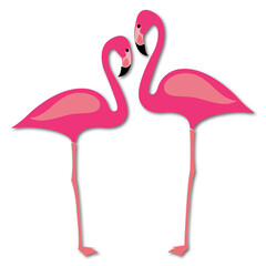 pink flamingo isolated on white background	