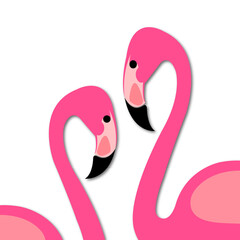 pink flamingo isolated on white background	